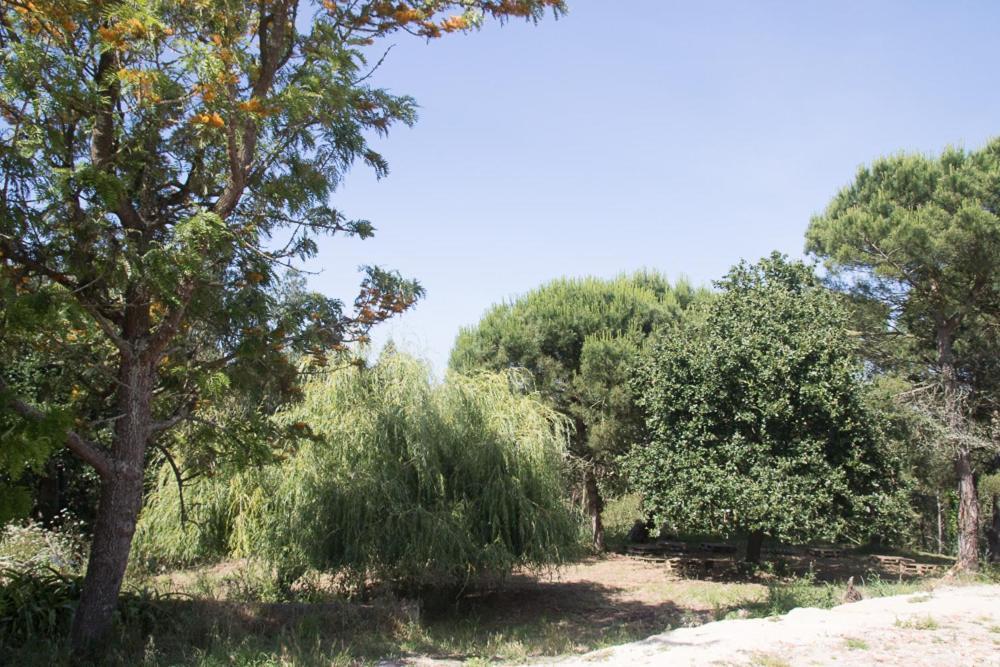 مبيت وإفطار لورينها Quinta Da Galeana Dreaming المظهر الخارجي الصورة