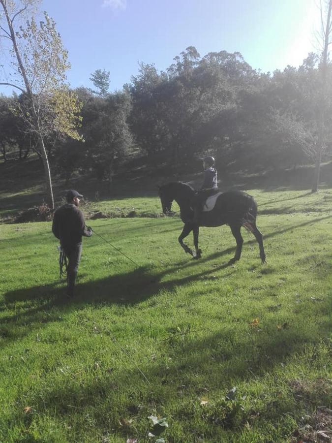 مبيت وإفطار لورينها Quinta Da Galeana Dreaming المظهر الخارجي الصورة