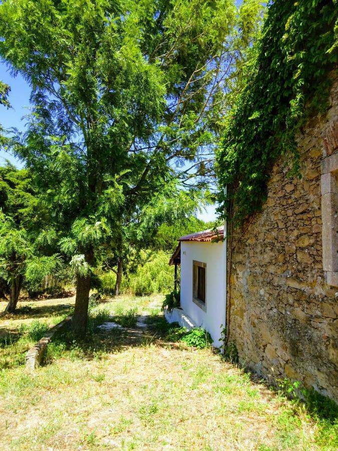 مبيت وإفطار لورينها Quinta Da Galeana Dreaming المظهر الخارجي الصورة